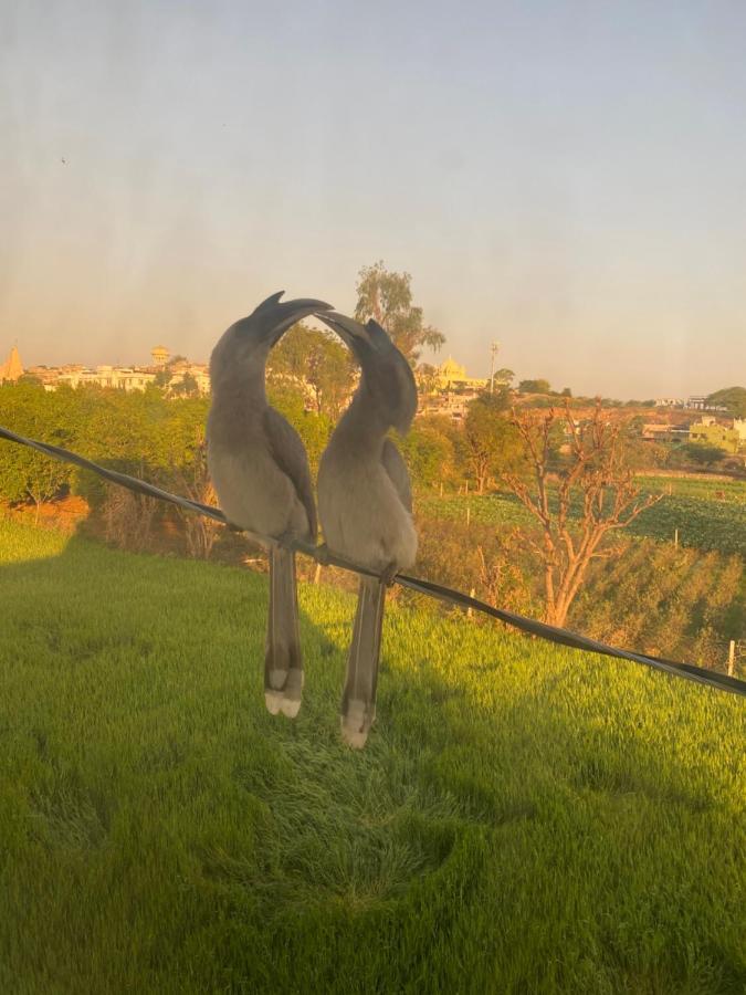 The Natural View Pushkar Exterior photo